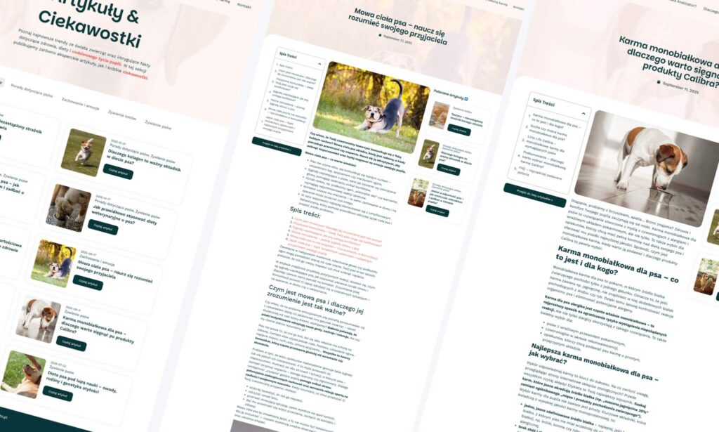 Strony internetowe Olsztyn